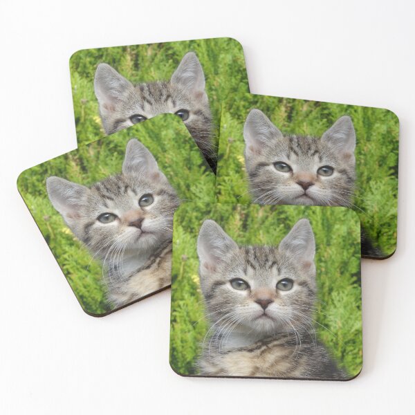Item preview, Kitten designed and sold by Eva Dobie Arts.