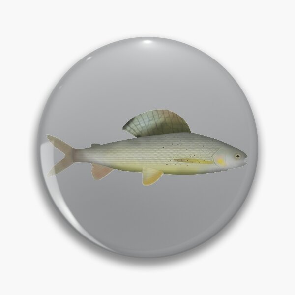 Item preview, Baikal White Grayling designed and sold by fishfolkart.