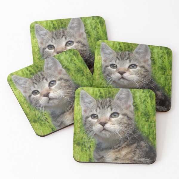 Item preview, Kitten designed and sold by Eva Dobie Arts.