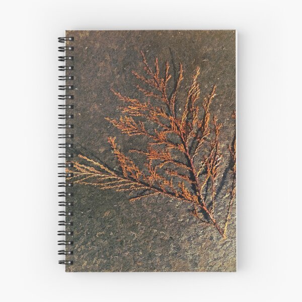 Item preview, Remnant designed and sold by Steve Walser.