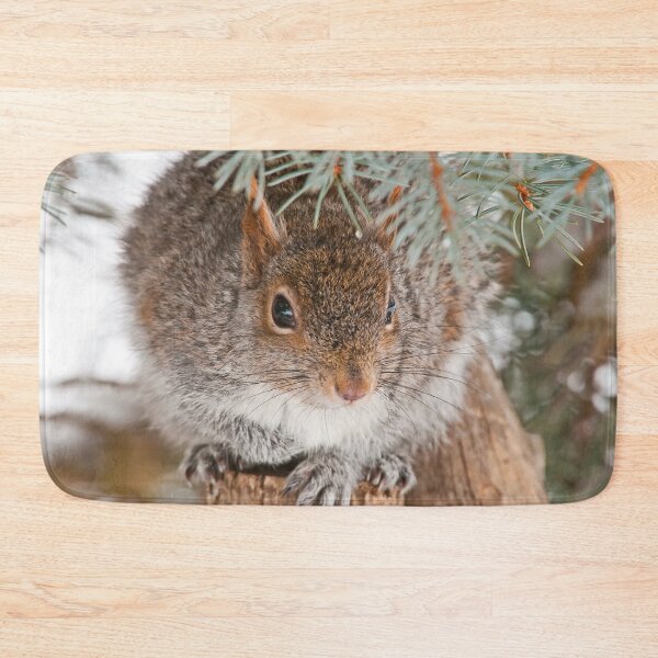 Item preview, Gray Squirrel designed and sold by Michael Cummings.