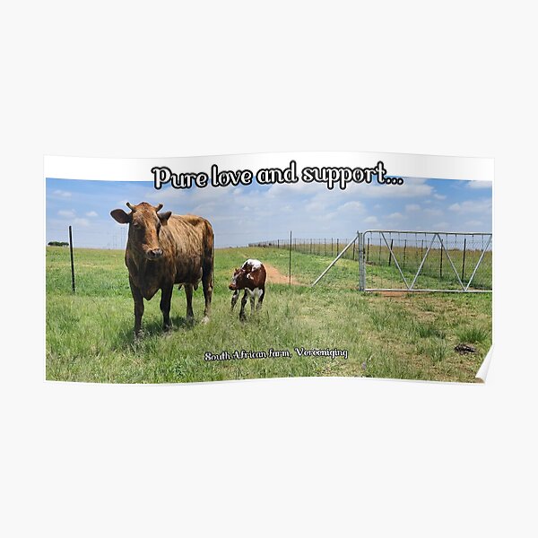 Pure love and support from the farm! Poster