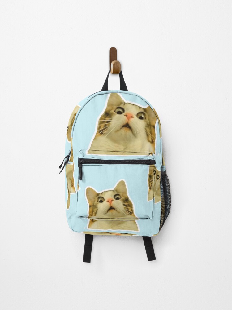 cat backpack near me