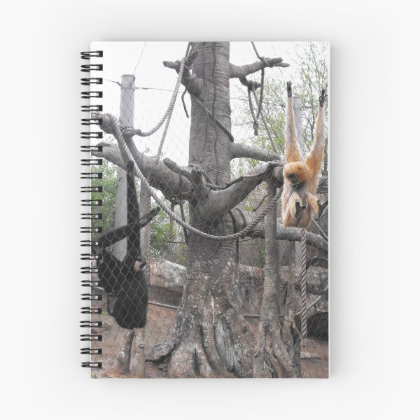 Item preview, Day at the Zoo designed and sold by photosbyapril.