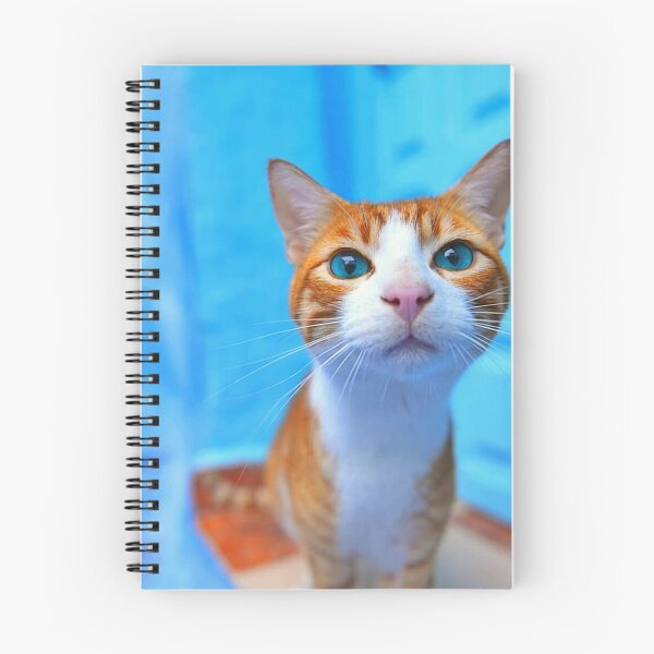 Item preview, Fantastic Moroccan Photo View– 2021 Print designed and sold by BestOfTravel.