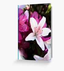 Fairies Greeting Card