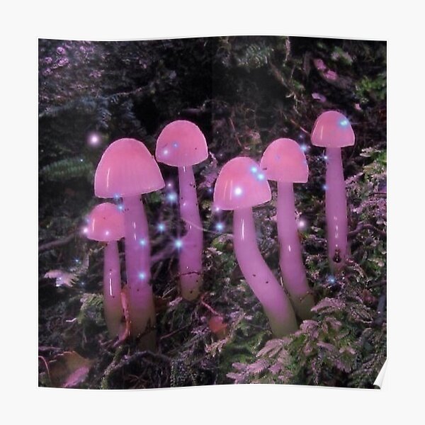 "y2k mushrooms" Poster for Sale by sabrinamerg | Redbubble