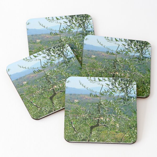 Item preview, Olive Tree in Tuscany Near Lucca designed and sold by CasaDiLavanda.