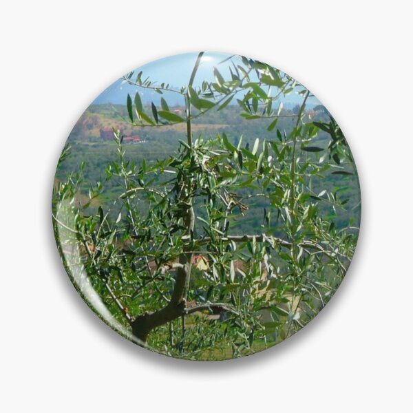 Item preview, Olive Tree in Tuscany Near Lucca designed and sold by CasaDiLavanda.