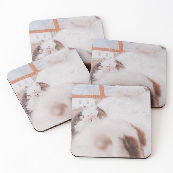 Item preview, Reaching Silly Cat Retro Photo designed and sold by graemariedesign.