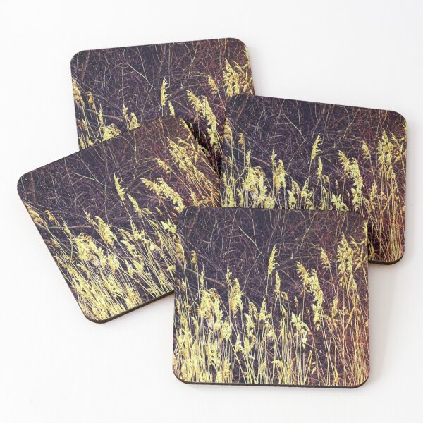 Item preview, Golden Arrows / photography by Livia Leoveanu designed and sold by Livia  Leoveanu.