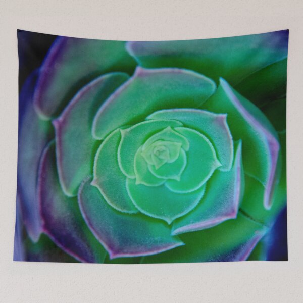 Item preview, green and blue succulent designed and sold by TessAndre.