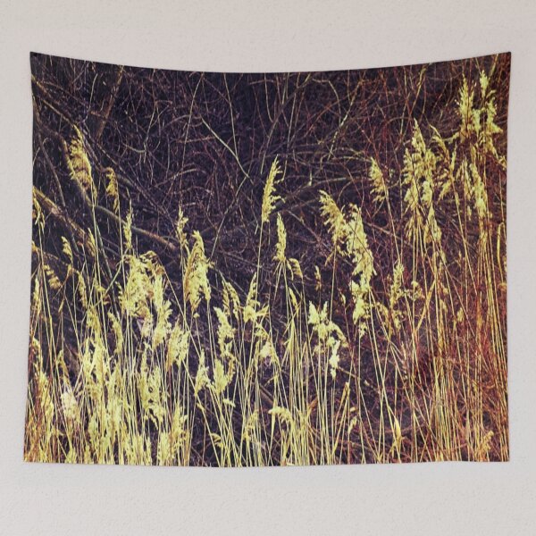 Item preview, Golden Arrows / photography by Livia Leoveanu designed and sold by Livia  Leoveanu.