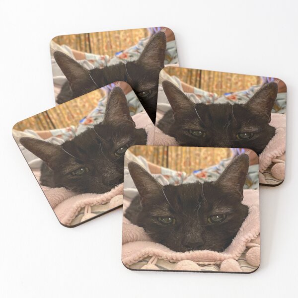 Item preview, Toothless cat designed and sold by featherfox8.