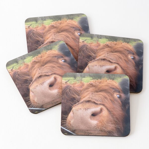 Item preview, Highland coo designed and sold by featherfox8.