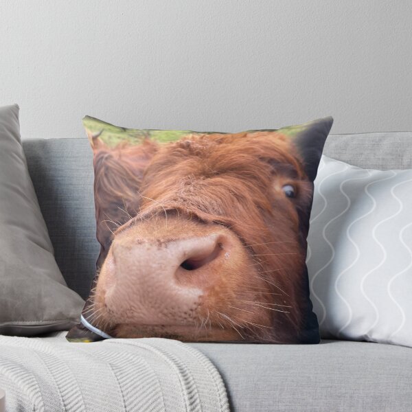 Item preview, Highland coo designed and sold by featherfox8.
