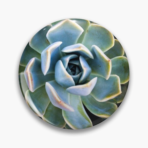 Item preview, Succulent Lover designed and sold by doodle3Dandy.
