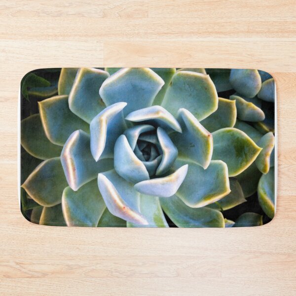 Item preview, Succulent Lover designed and sold by doodle3Dandy.