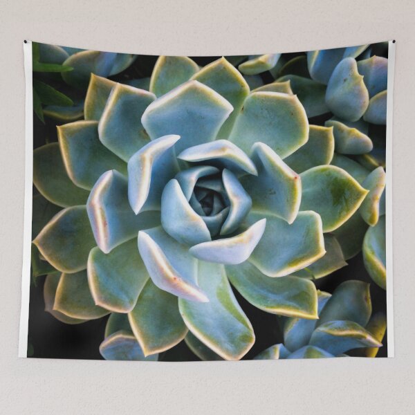 Item preview, Succulent Lover designed and sold by doodle3Dandy.