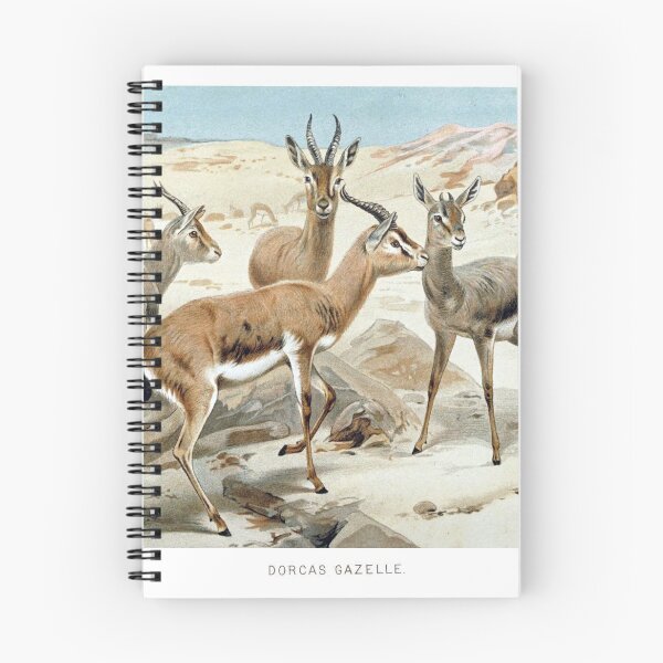 Item preview, Dorcas Gazelle designed and sold by redoARTstore.