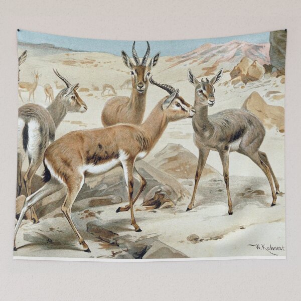 Item preview, Dorcas Gazelle designed and sold by redoARTstore.