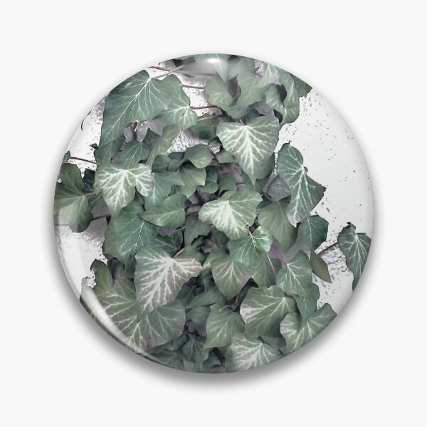 Item preview, Green climbing plant designed and sold by FONESAY.
