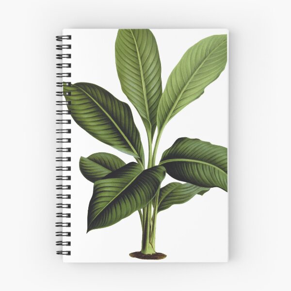 Item preview, Green Leafed Tropical Plant designed and sold by redoARTstore.