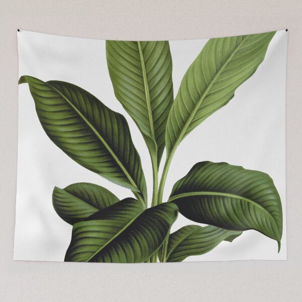 Item preview, Green Leafed Tropical Plant designed and sold by redoARTstore.