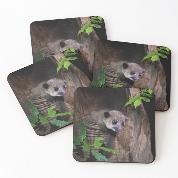 Item preview, Kinkajou designed and sold by mlorenz.