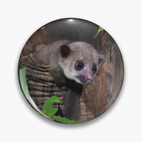 Item preview, Kinkajou designed and sold by mlorenz.