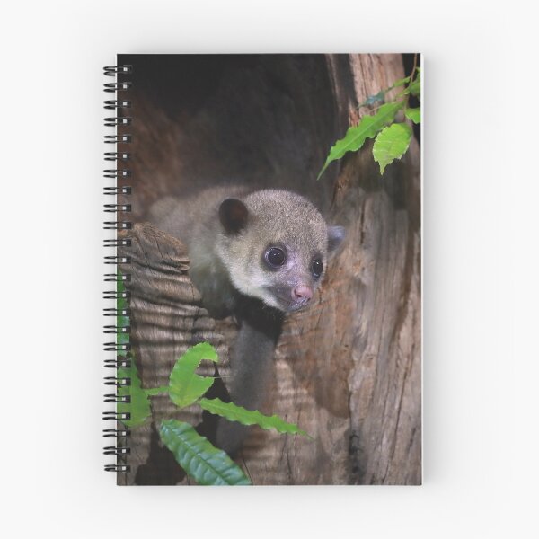 Item preview, Kinkajou designed and sold by mlorenz.
