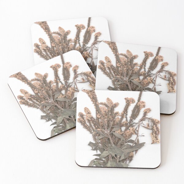 Item preview, Dried Perennial Flowers designed and sold by Amber Griffin.