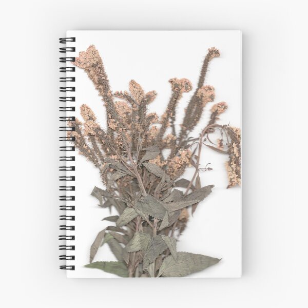 Item preview, Dried Perennial Flowers designed and sold by Amber Griffin.