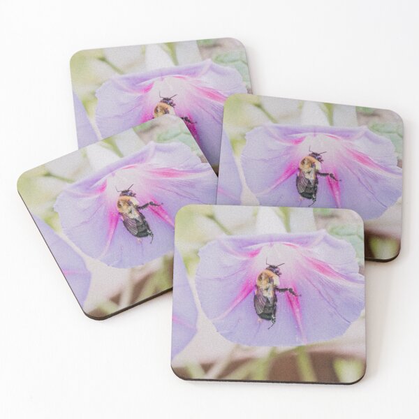 Item preview, Bumblebee in a Purple Morning Glory Flower Retro Photo designed and sold by graemariedesign.