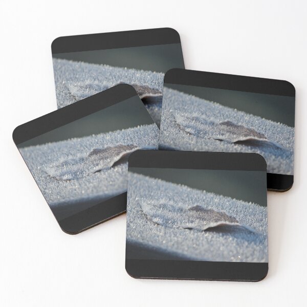 Item preview, Frozen Leaf Covered in Ice Crystals designed and sold by LisaNaturePhoto.
