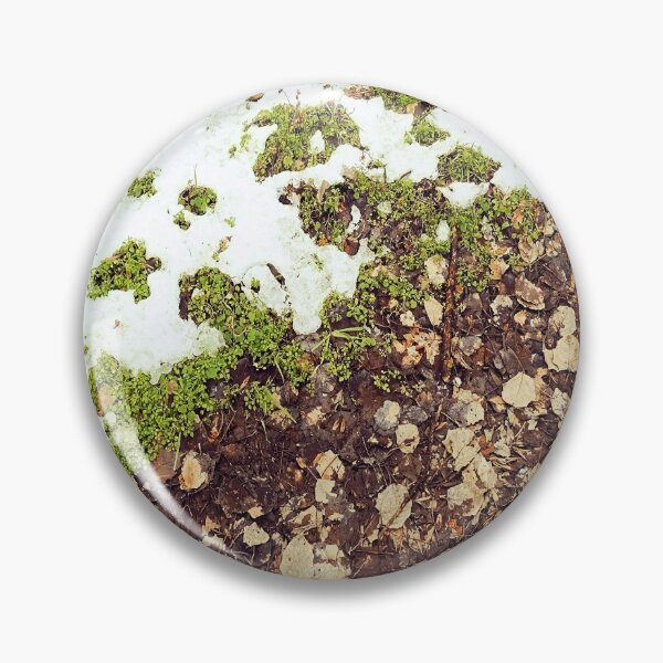 Item preview, Half present / Half past / photography by Livia Leoveanu designed and sold by Livia  Leoveanu.