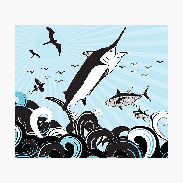 Marlin Scene Photographic Print