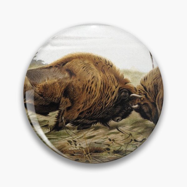 Item preview, European Bison designed and sold by redoARTstore.