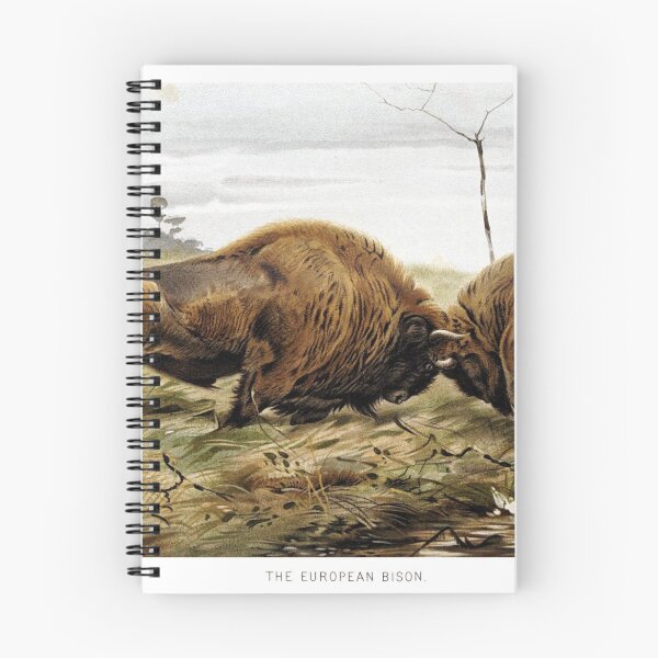 Item preview, European Bison designed and sold by redoARTstore.