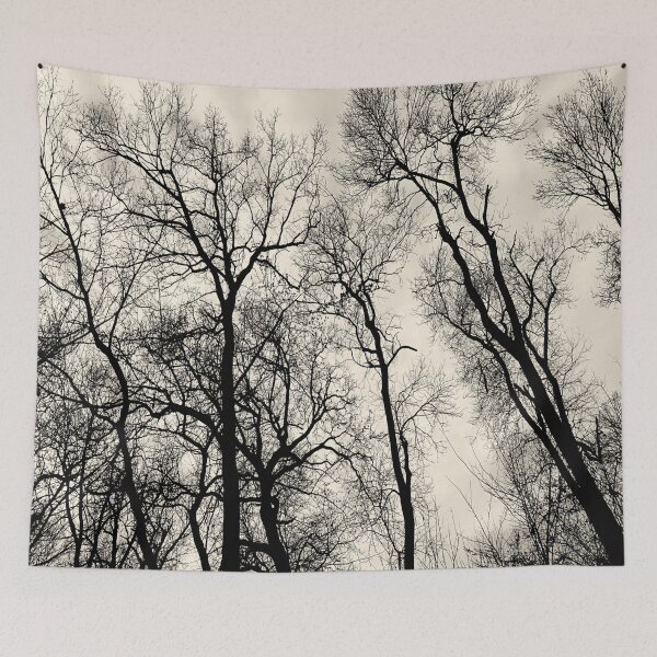 Item preview, Mystic Trees / photography by Livia Leoveanu designed and sold by Livia  Leoveanu.