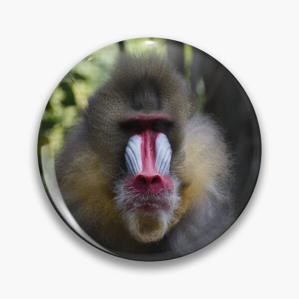 Item preview, Staring Contest designed and sold by Wayne Thomson.