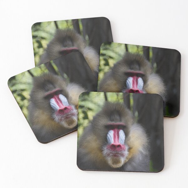 Item preview, Staring Contest designed and sold by Wayne Thomson.