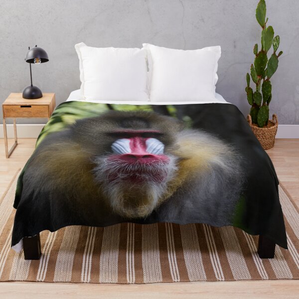 Item preview, Staring Contest designed and sold by Wayne Thomson.