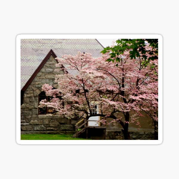 Item preview, Blossoming designed and sold by AGODIPhoto.
