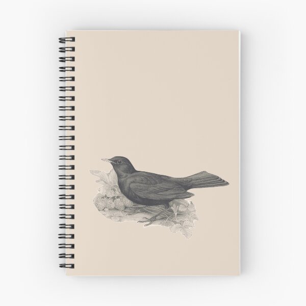 Artikelvorschau, Amsel entworfen und verkauft von Sinovius.