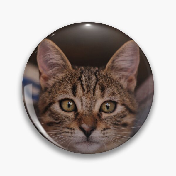 Item preview, Model Cat 2 designed and sold by marcosrs1802.