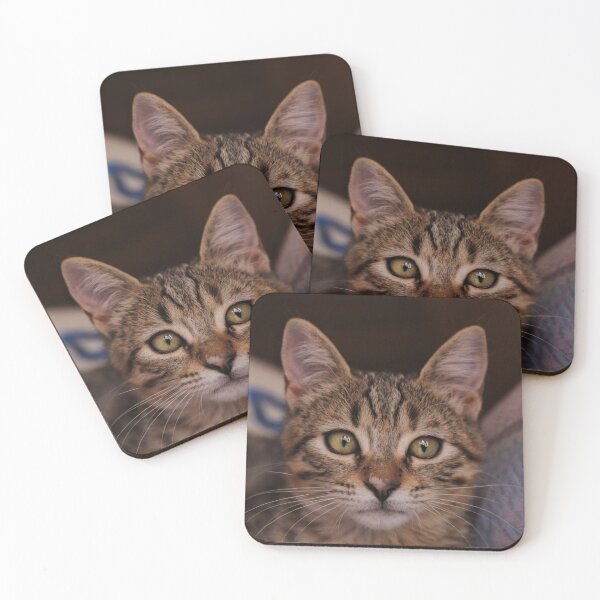 Item preview, Model Cat 2 designed and sold by marcosrs1802.