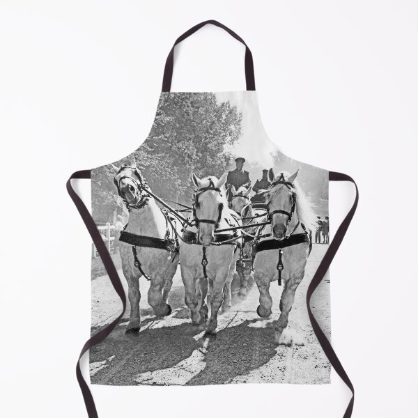 Item preview, r2734/ 17 Nostalgie " Le Haras du Pin " Finition 2021 "  Caléche et les Héros du jour en Parade public (n&b)(h) Olavia-Olao Okaio Créations designed and sold by o.okaïo.