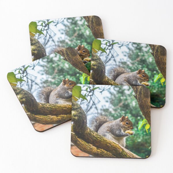 Item preview, Bushy tailed squirrel designed and sold by SzendeB.