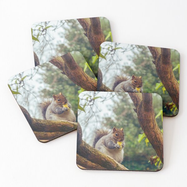 Item preview, Bushy tailed squirrel designed and sold by SzendeB.